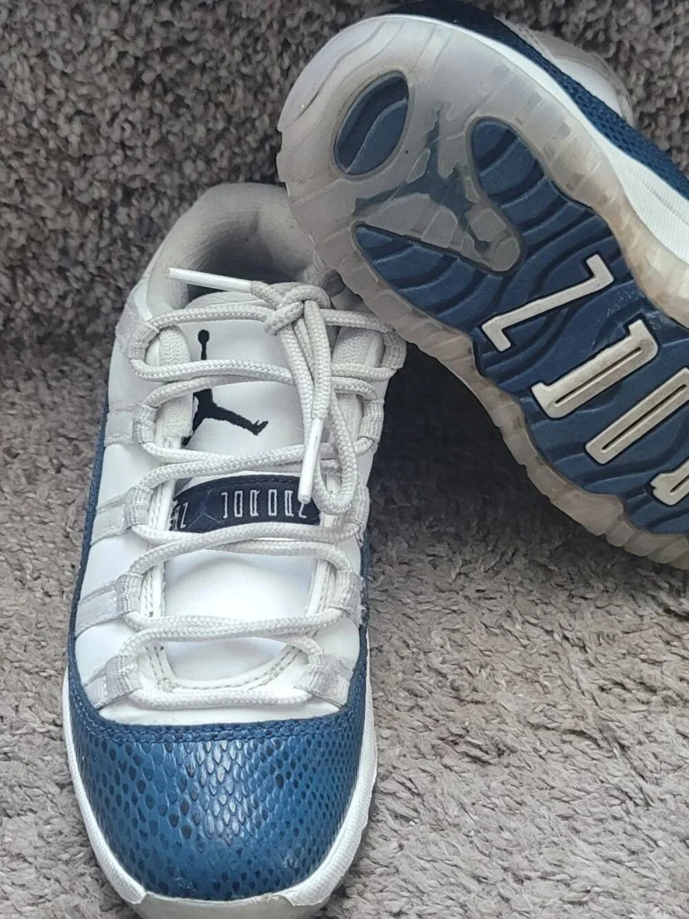 Jordan 11 snakeskin